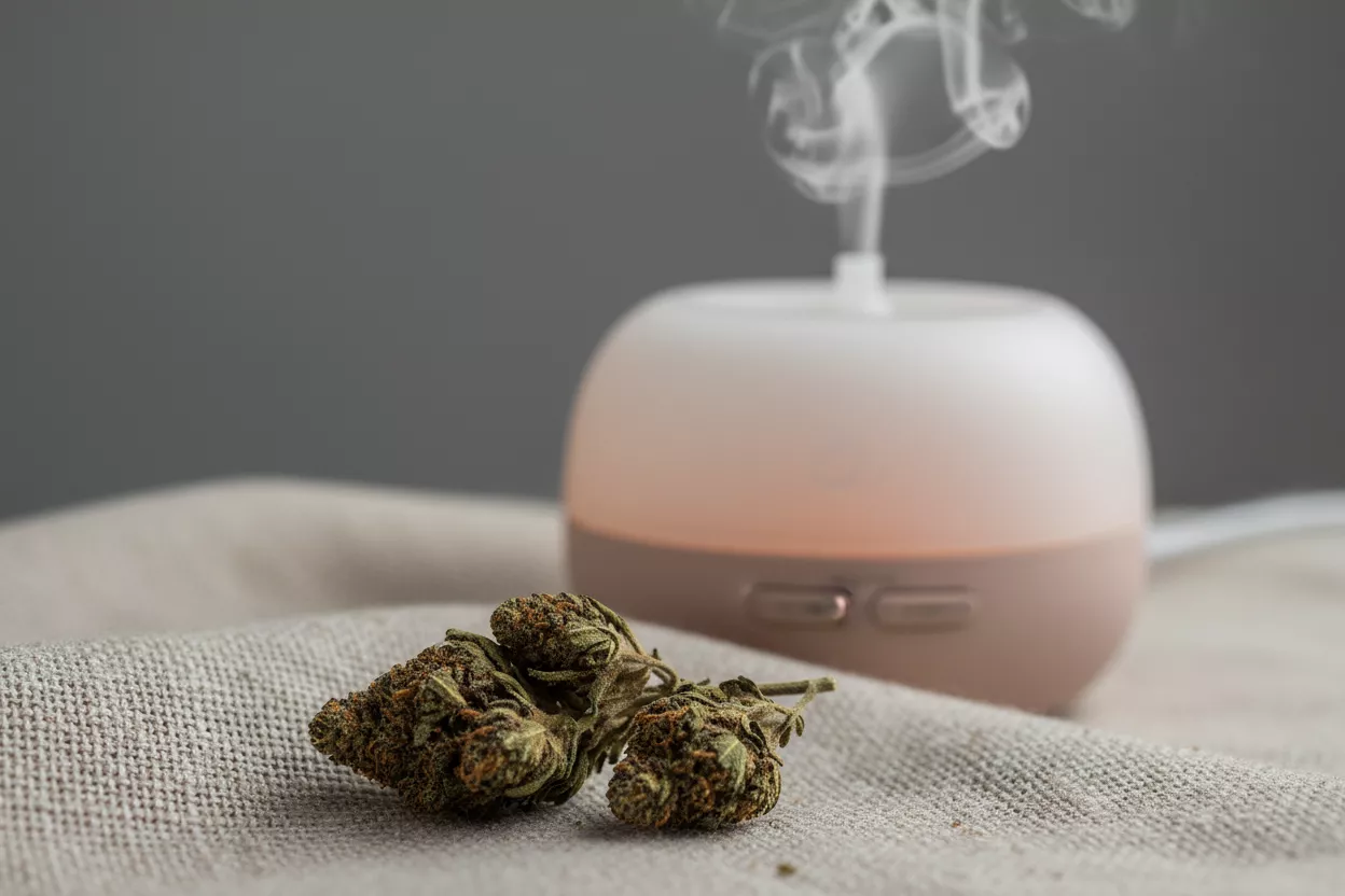Gros plan sur une fleur de CBD séchée posée délicatement sur un tissu en lin, avec un diffuseur de vapeur doux en arrière-plan, symbolisant la consommation saine.